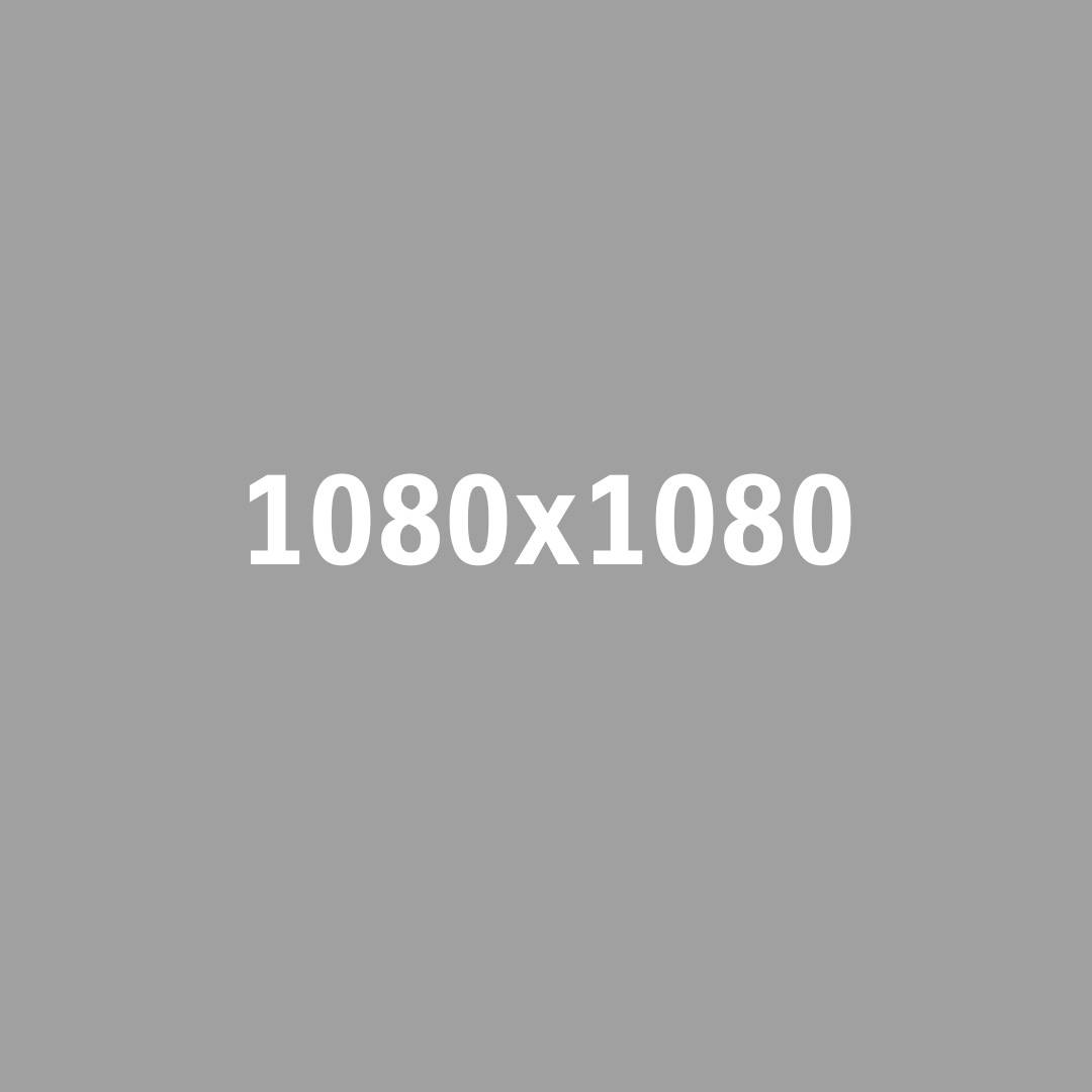 1080 x 1080 placeholder bun
